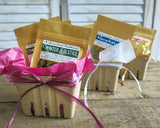 Herbal Tea GIFT BASKET with 4 Packs of Organic Loose-Leaf Medicinal Herbal Teas - Holiday Tea Sampler Berry Basket Gift Set